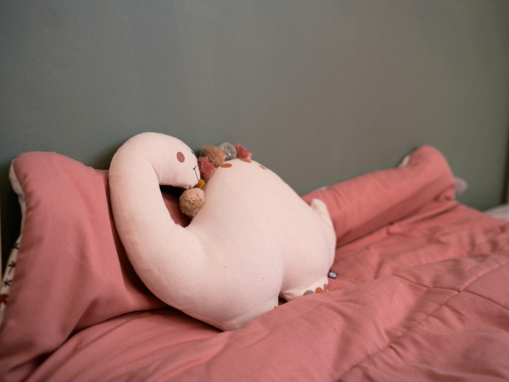 photo grossesse à Toulouse