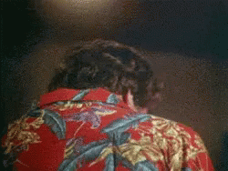 GIF de Tom Selleck dans le role de Magnum, il porte une chemise rouge à fleurs et il hausse des sourcils