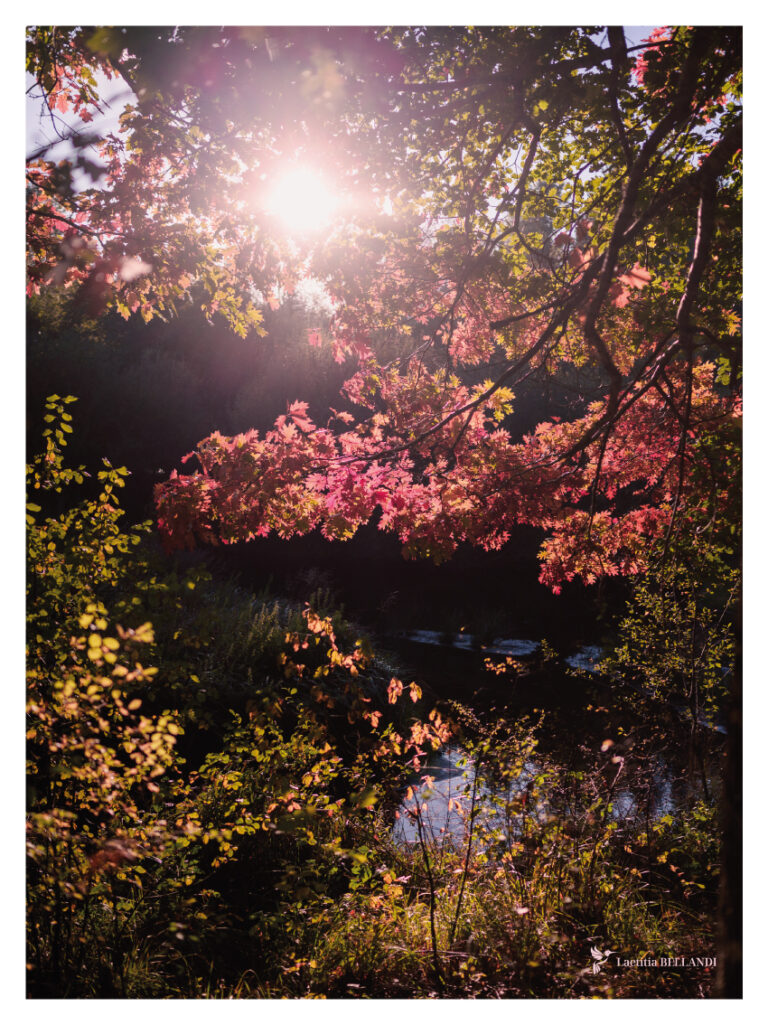 AFFICHE Lac de Laprade, Montagne Noire, Aude