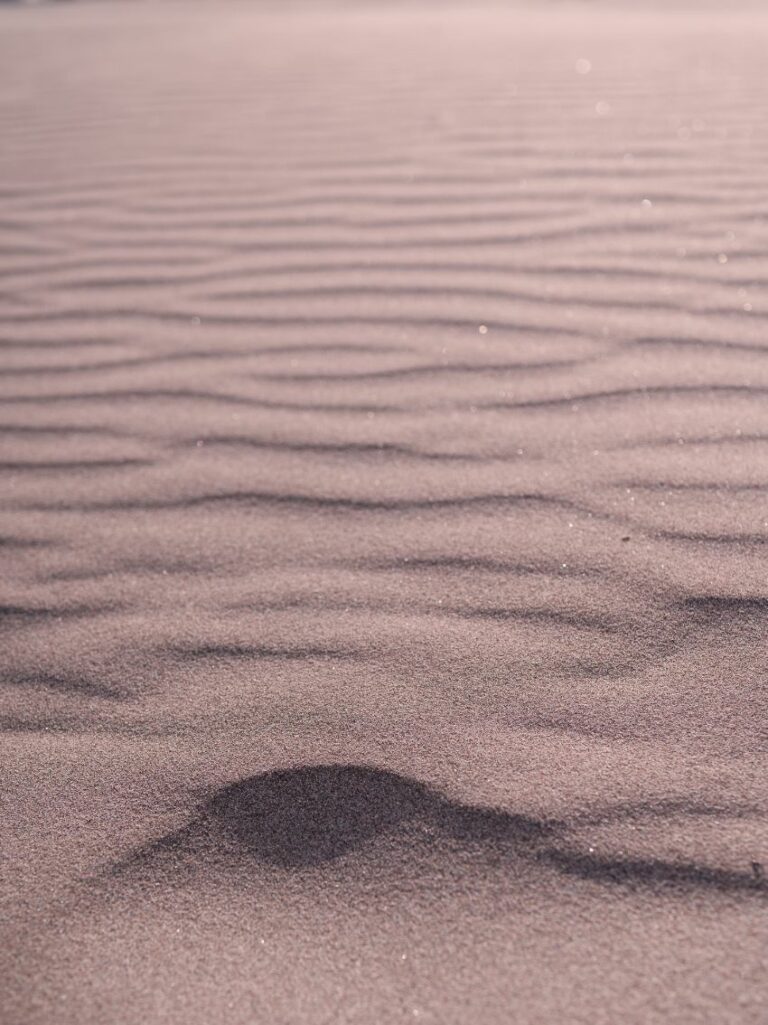 AFFICHE Sable. Plage des chalets à Gruissan, Aude