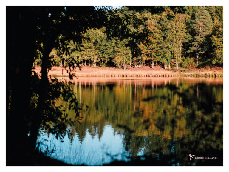 AFFICHE Lac de Laprade, Montagne Noire, Aude