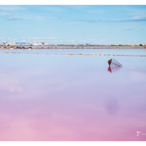 AFFICHE Salins, Gruissan, Aude