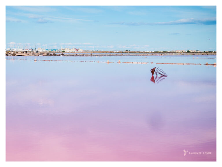 AFFICHE Salins, Gruissan, Aude
