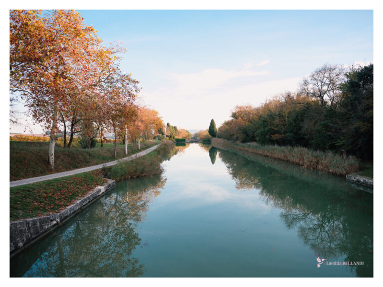 AFFICHE, Canal du Midi, écluse d'Herminis, Carcassonne. Aude