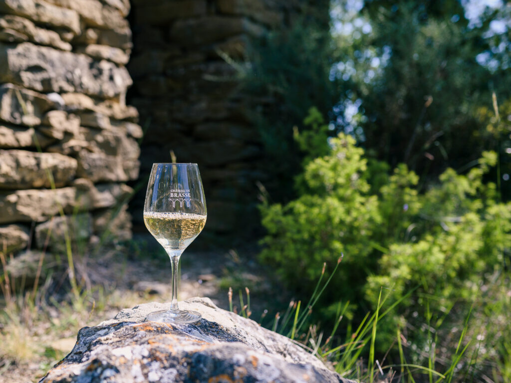 Château de Brasse Cournanel - photo d'un verre de vin blanc