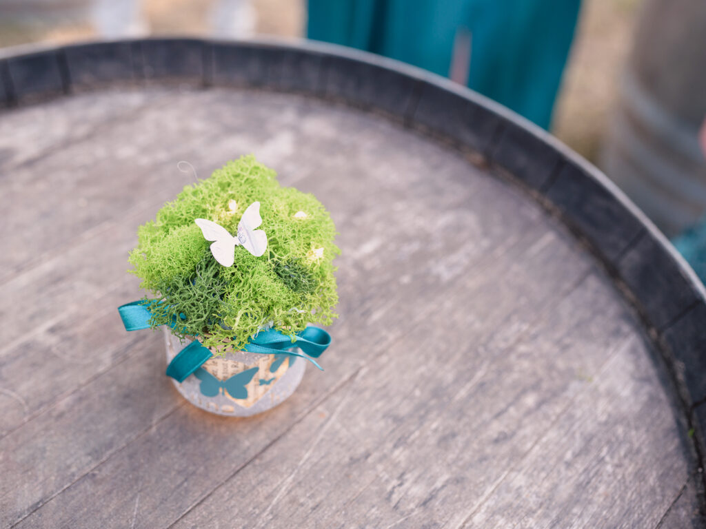 Mariage au Château La Bastide Rouge Peyre à Pennautier Robe de mariée L'invitation Carcassonne