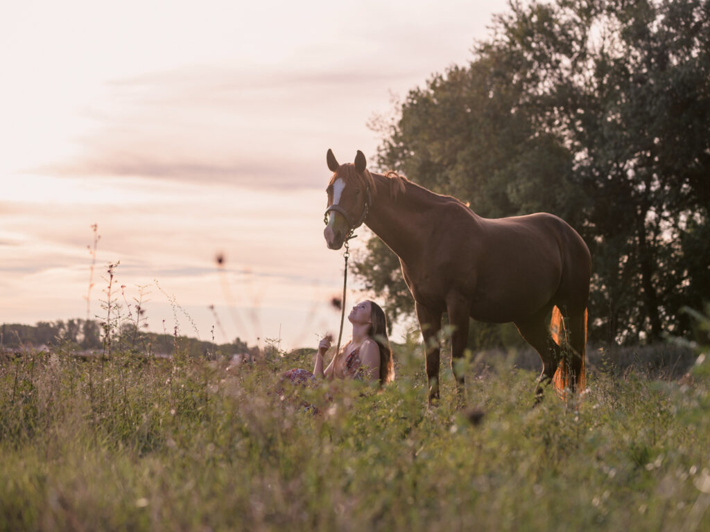 portrait jeune femme et son cheval écurie du Cabardès à Pezens. shooting d'automne au coucher de soleil
