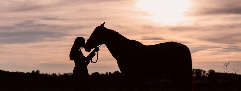 portrait jeune femme et son cheval écurie du Cabardès à Pezens. shooting d'automne au coucher de soleil. photo en ombres chinoises.