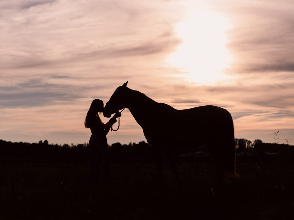 portrait jeune femme et son cheval écurie du Cabardès à Pezens. shooting d'automne au coucher de soleil. photo en ombres chinoises.