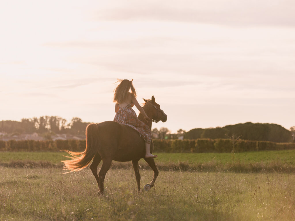 portrait jeune femme et son cheval écurie du Cabardès à Pezens. shooting d'automne au coucher de soleil