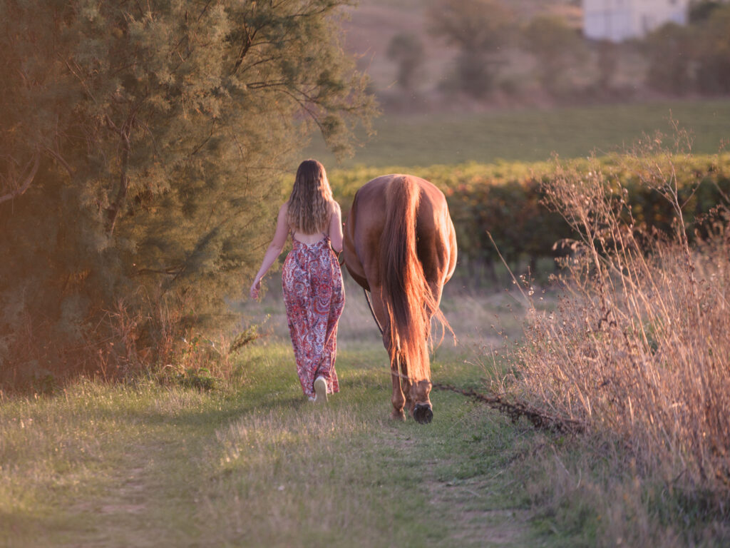 portrait jeune femme et son cheval écurie du Cabardès à Pezens. shooting d'automne au coucher de soleil