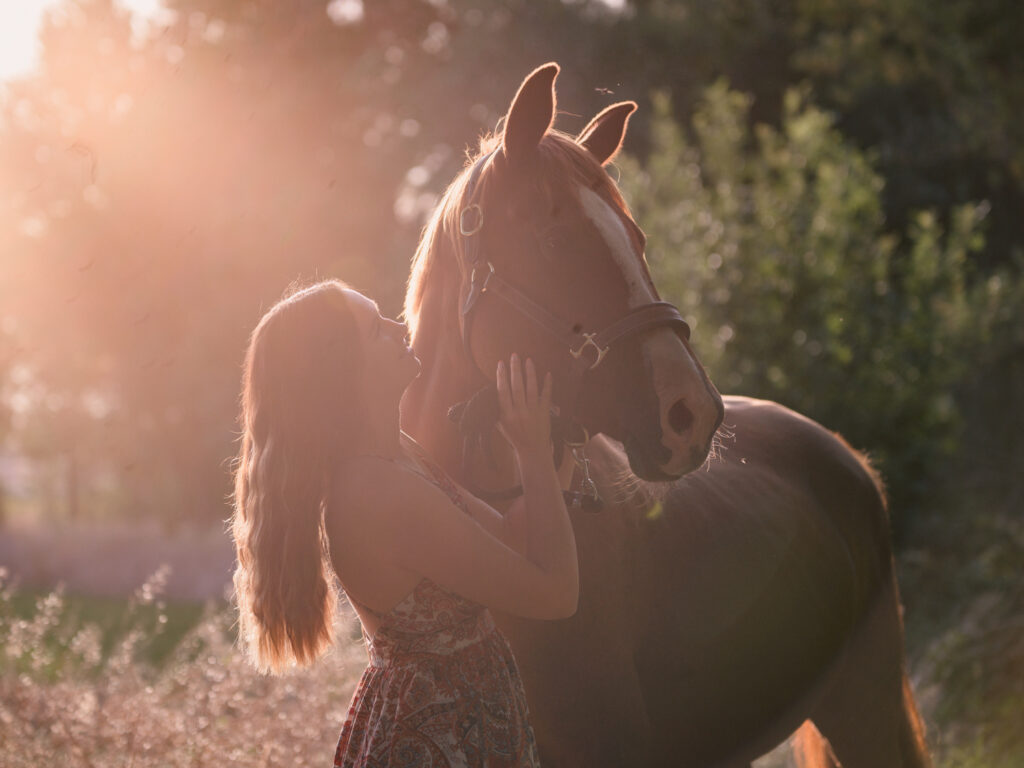 portrait jeune femme et son cheval écurie du Cabardès à Pezens. shooting d'automne au coucher de soleil